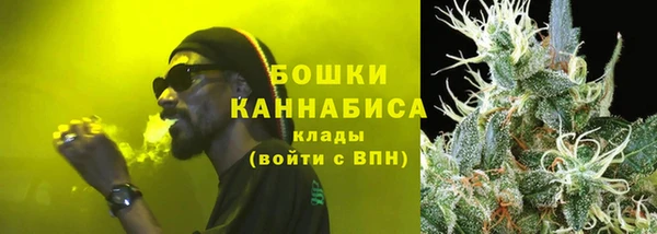 дурь Богданович
