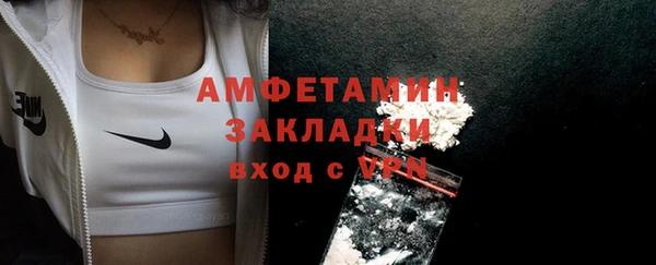 шишки Беломорск