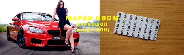 стаф Богородск