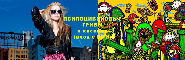 стаф Богородск