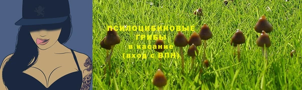 дурь Богданович