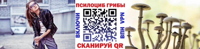 Галлюциногенные грибы GOLDEN TEACHER  даркнет состав  Кимовск 