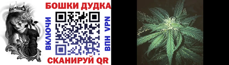 где купить наркотик  Кимовск  Бошки Шишки марихуана 